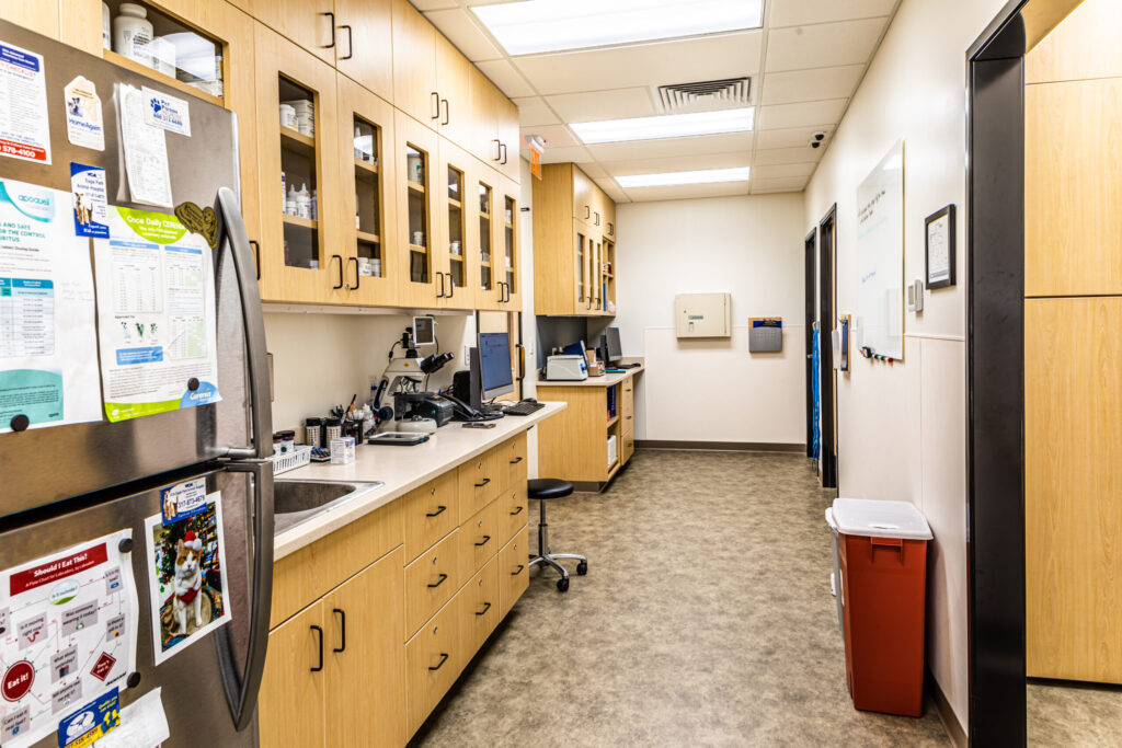 VCA Eagle Park - Lab-Rx (1)